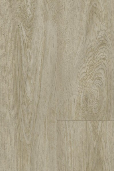 WASHED OAK WHITE 817