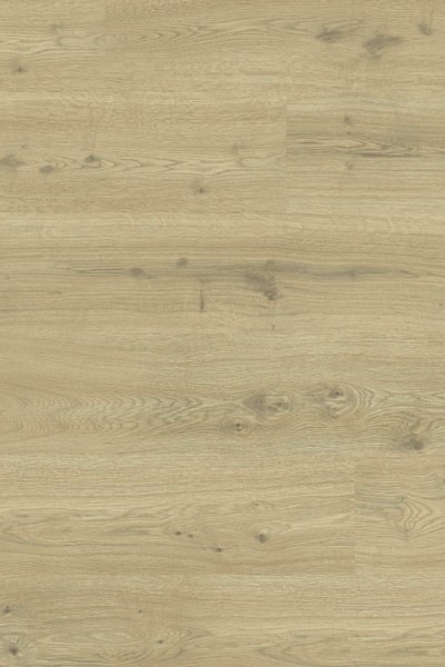 Woodstock Pro 833 510034039 Comfort Oak