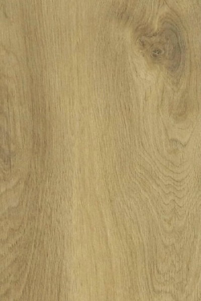 Premium Rigid 50 - 151