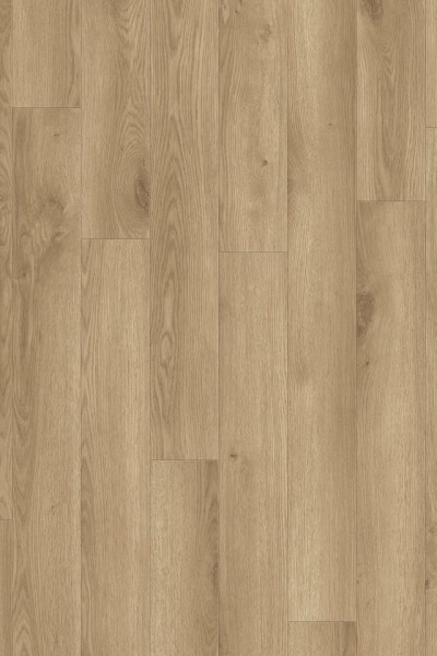 Inspiration 30 - 24524019 Contemporary Oak Natural