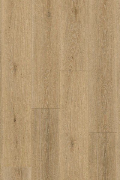 Inspiration 55 - 24513090 Highland Oak Noisette