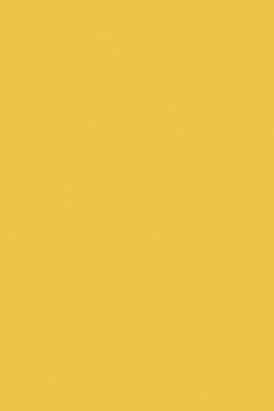 Omnisports - Uni Yellow