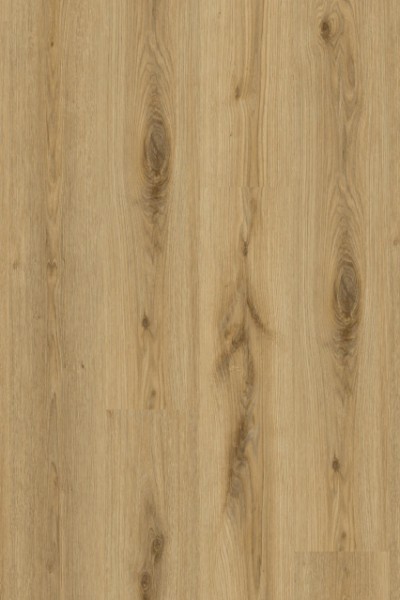Living 55 - 280064004 Primary Oak Natural