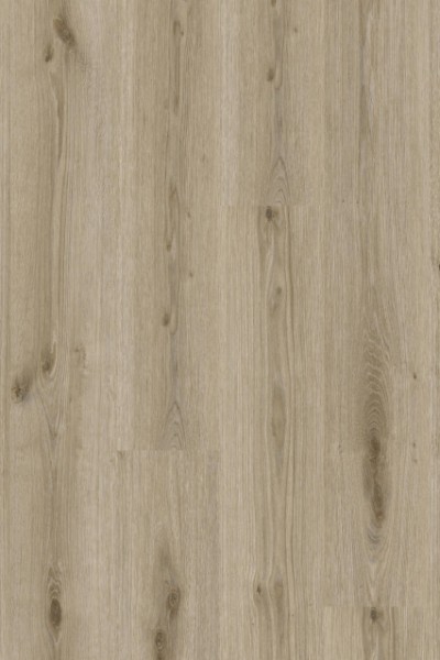 Essence 55 - 260053006 Primary Oak Light Grey