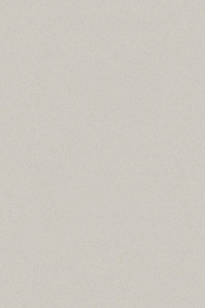 Safetred - 206070110 Venus (3820110 Venus Light Grey)